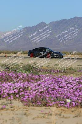 media/Jan-29-2023-PCA San Diego (Sun) [[aa0301ccc2]]/Yellow Group/Session 1 (Turn 15 Bloom)/